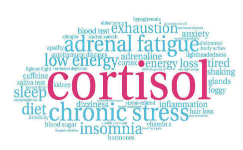 Cortisol Test2024-09-20 at 07.06.39